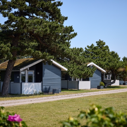 Hytter i smukke omgivelser på Storebælt Camping