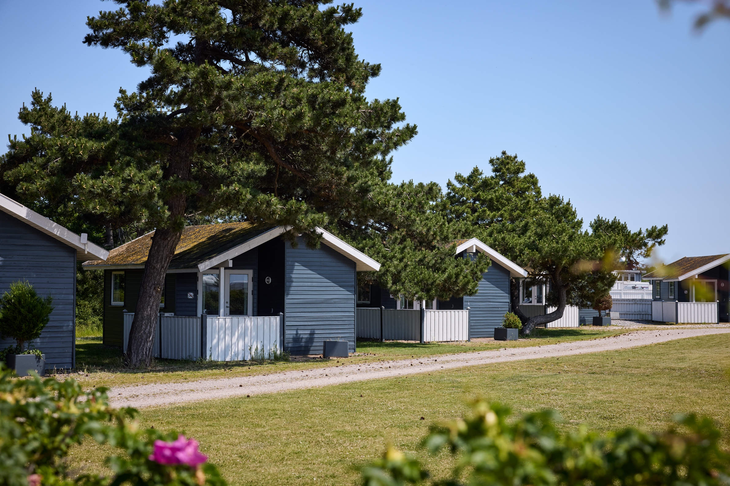 Hytter i smukke omgivelser på Storebælt Camping